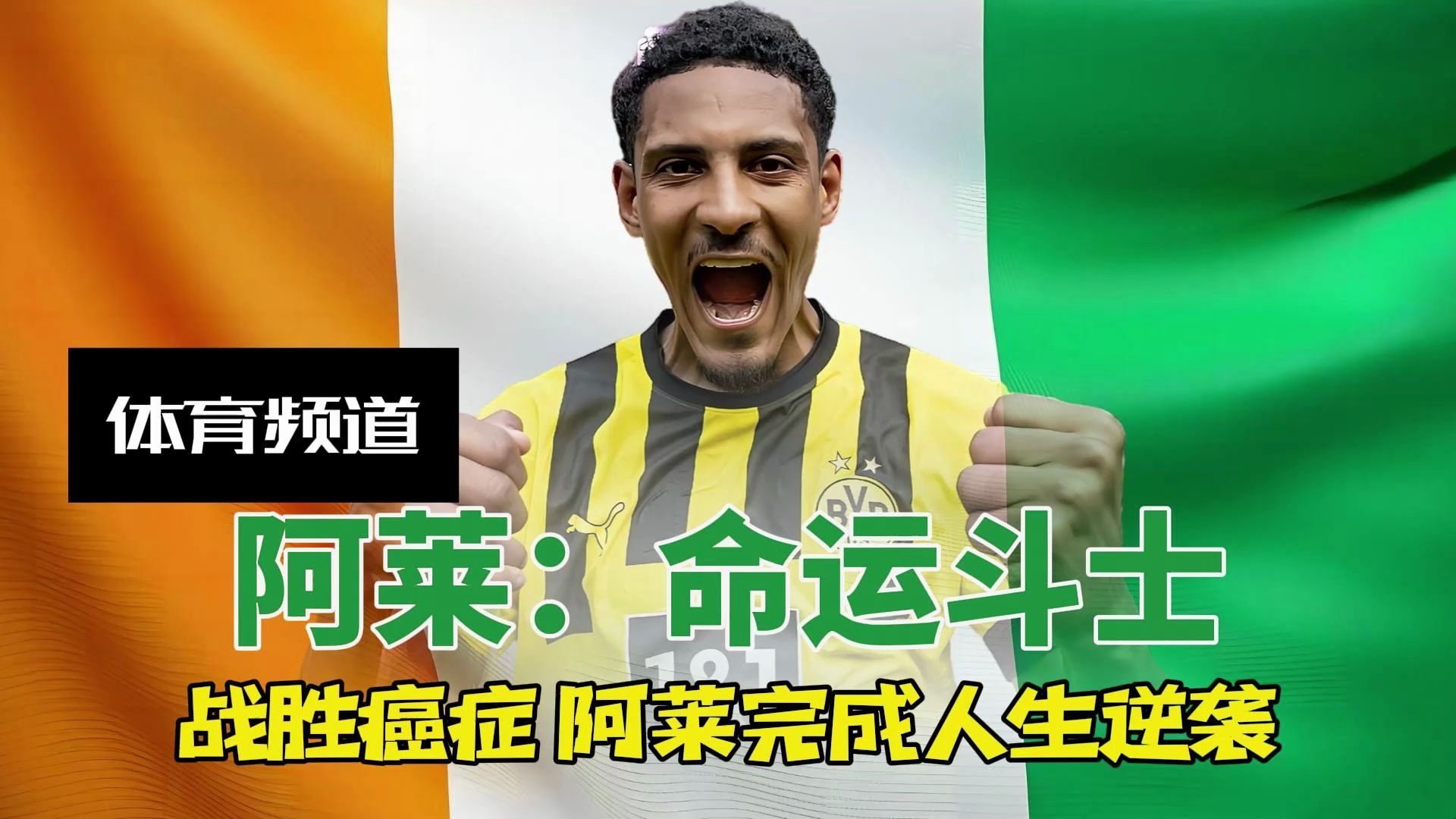 杏彩体育亚洲官网-包含科特迪瓦队实现逆袭，频频创造进球奇迹的词条